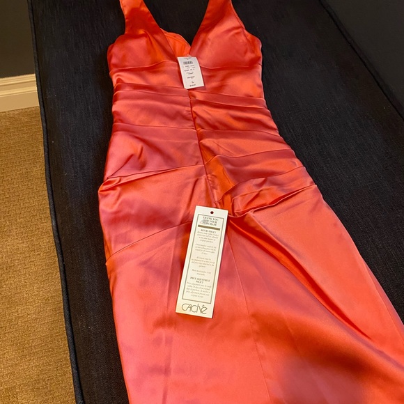 Cache dress. Size 2 - Picture 3 of 5